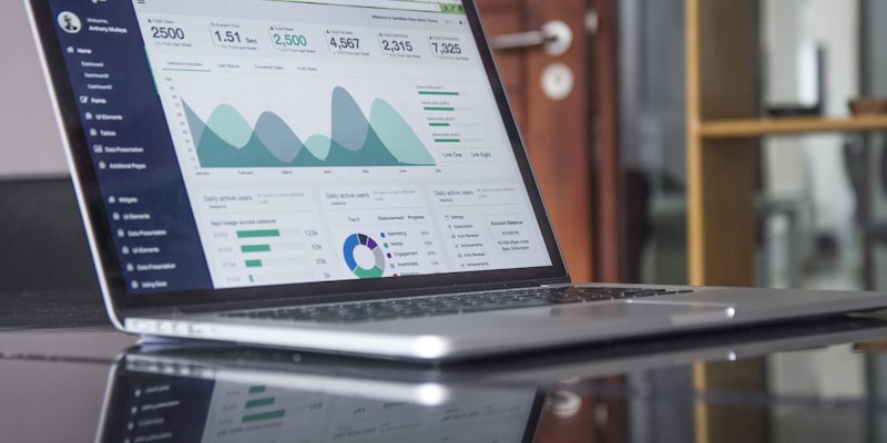 Portfolio Diversification Analysis